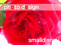smalldisney // photo design