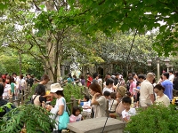 �v�[����̃n�j�[�n���g